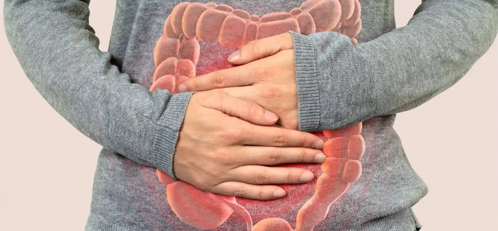 La relación entre la Nutrición y la Inflamación Intestinal Especialista en Nutrición Integrativa Mayte Castellano Health