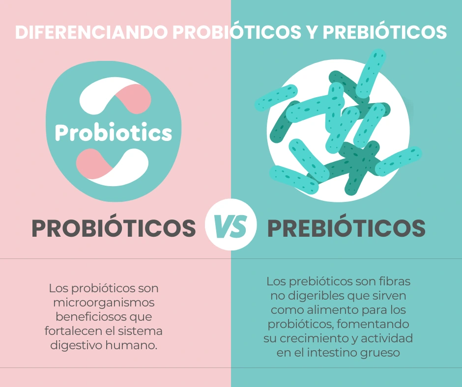 Diferenciando los Probióticos de los Prebióticos - Mayte Castellano Health - Especialista el Nutrición Integrativa