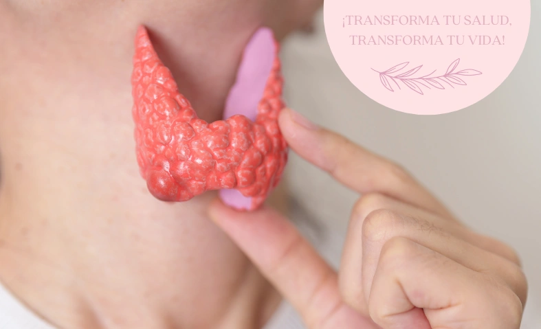 La Conexión Tiroides-Intestino