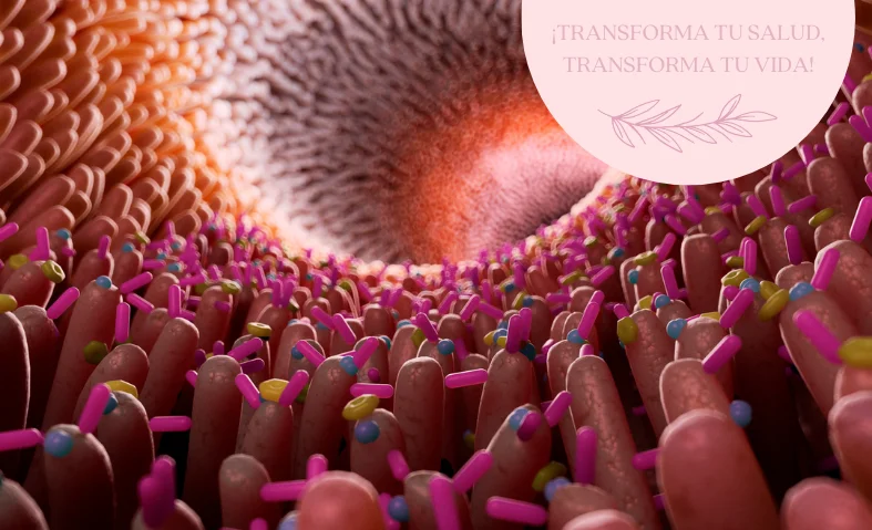 Mejora tu Diversidad Intestinal en Cinco Pasos por Mayte Castellano Health, Especialista en Nutrición Integrativa Portada