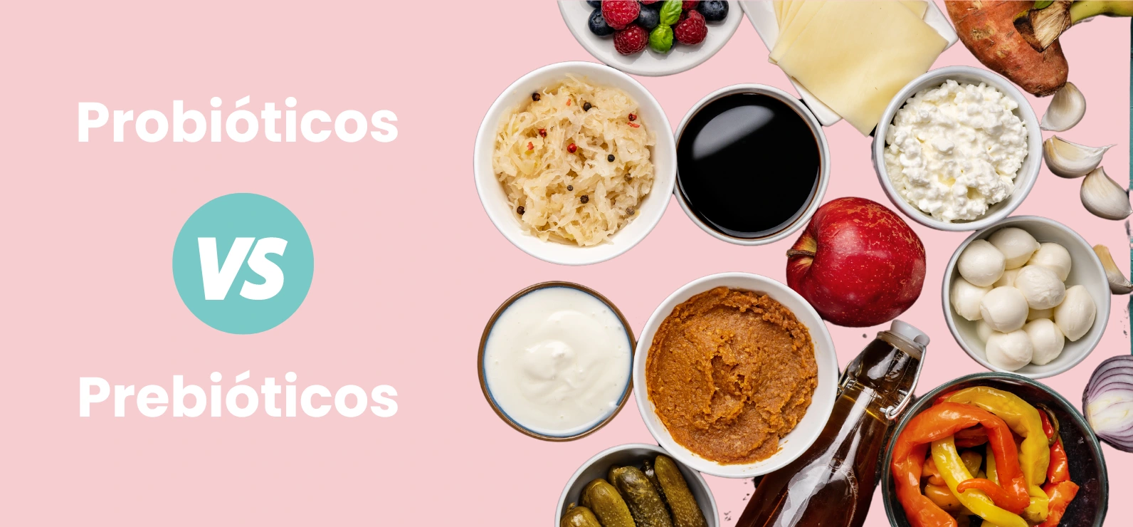 Probióticos Vs Prebióticos Cual es la Diferencia - Especialista en Nutrición Integrativa Mayte Castellano Health