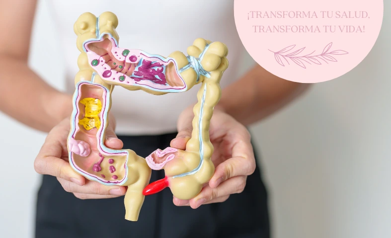 Qué es el SIBO y Cuáles son sus Síntomas -Especialista en Nutrición Integrativa y PNI Mayte Castellano Health