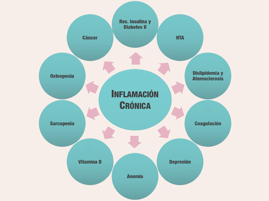 Comprendiendo la Inflamación de Bajo Grado Consecuencias inflamación Crónica