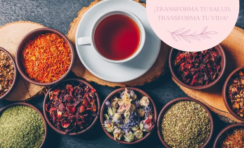 7 Mejores Hierbas para la Salud Intestinal y Hormonal - Mayte Castellano Health