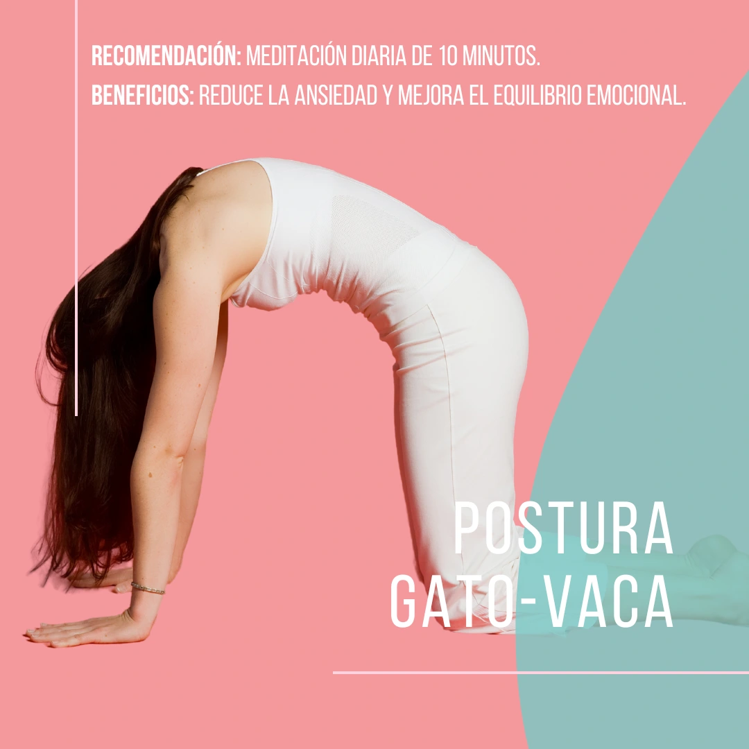 Aliviar el Estrés Postura Gato-Vaca Meditación diaria de 10 minutos