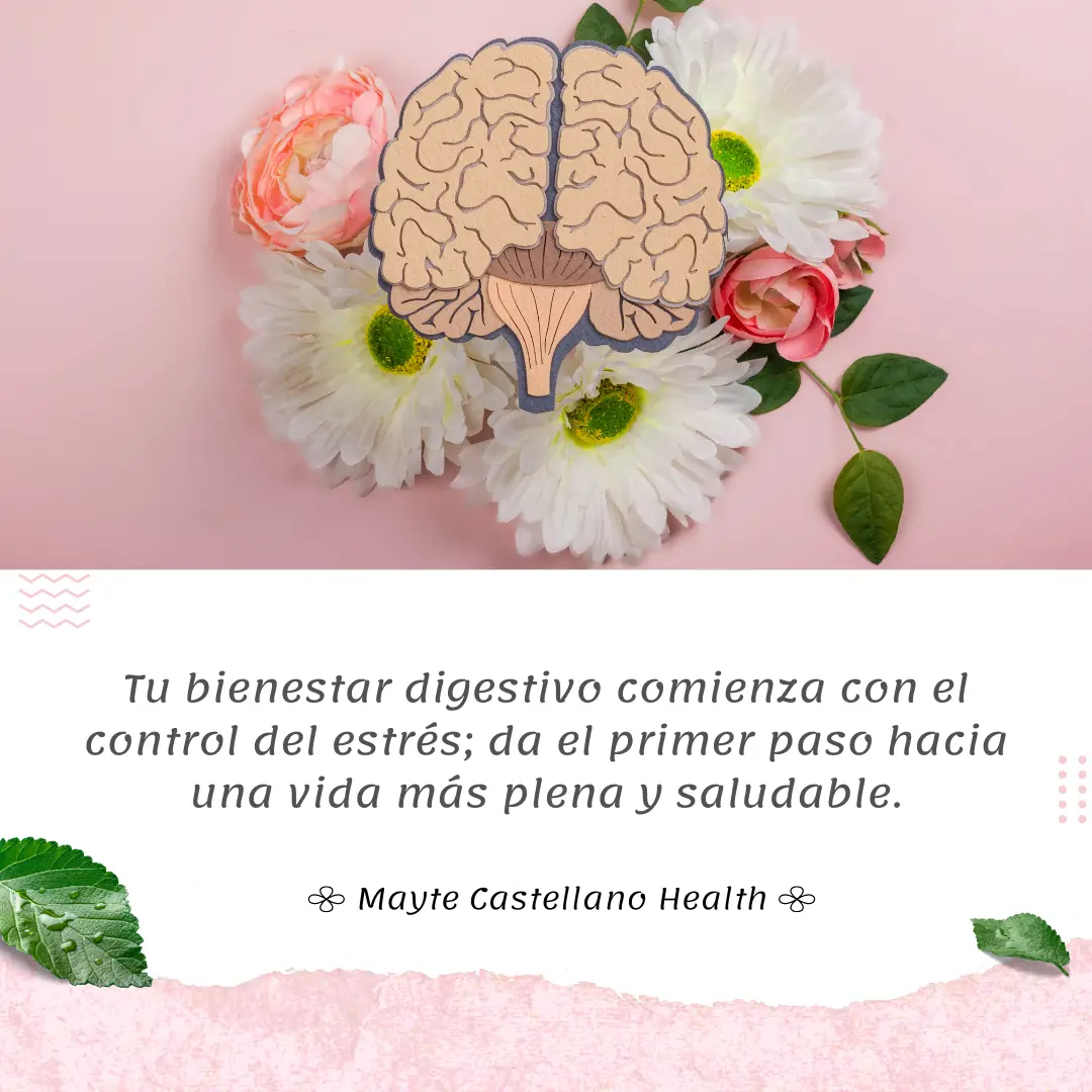 El Estrés y la Digestión están Relacionados - Consulta PNI con Mayte Castellano