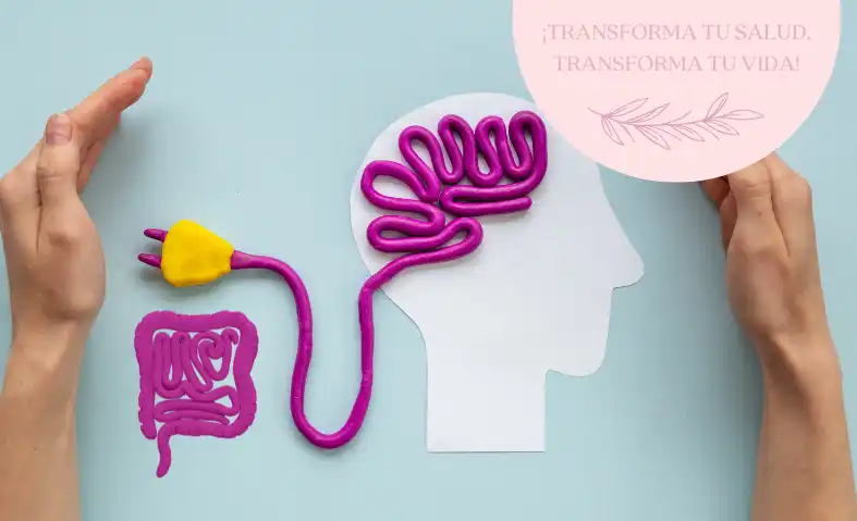 Mejorar tu Conexión Intestino-Cerebro Especialista Salud Integrativa