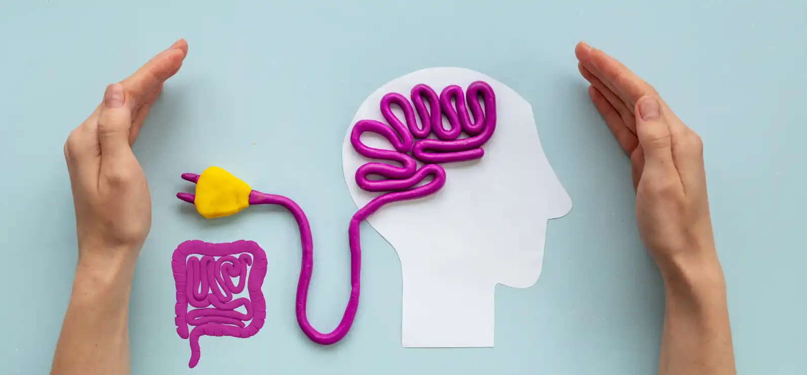 Mejorar tu Conexión Intestino-Cerebro