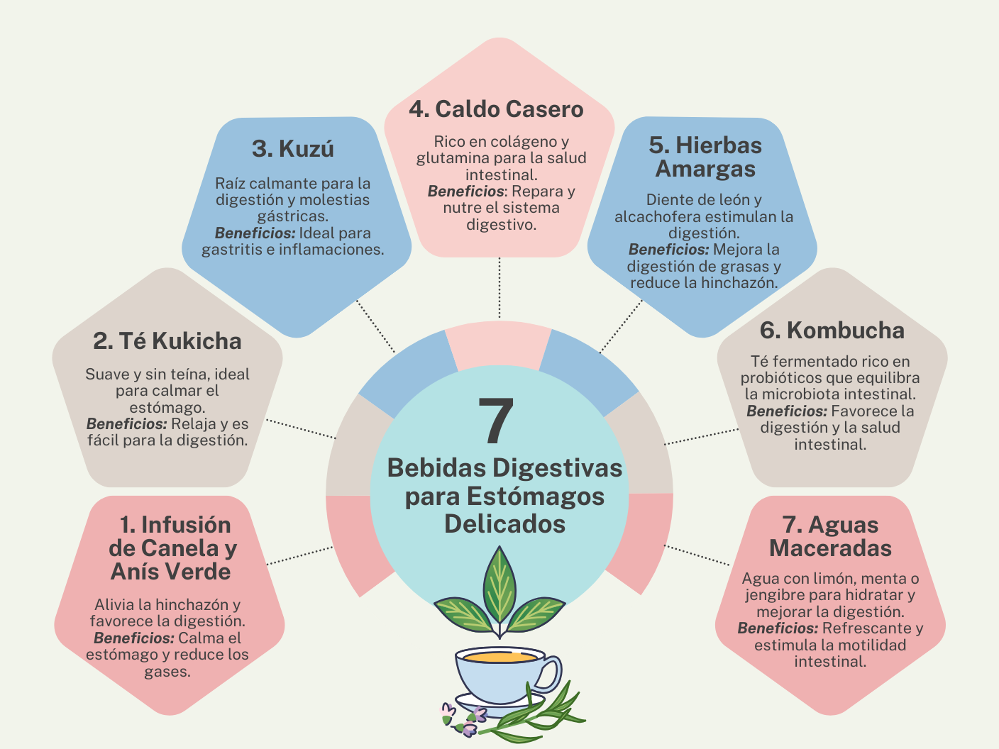 7 Bebidas Digestivas para Estómagos Delicados - Nutrición Integrativa Mayte Castellano