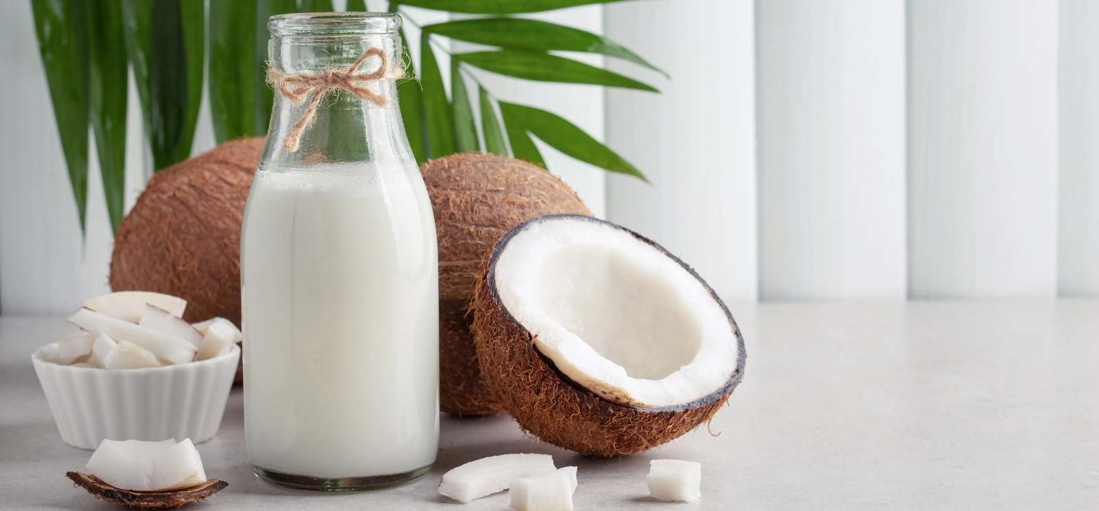 Leche de Coco Casera: La Receta que Tu Estómago Agradecerá