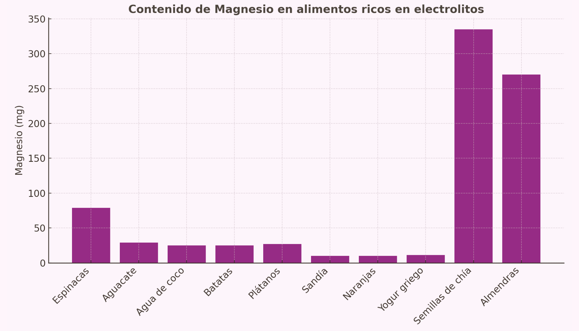 Contenido de magnesio alimentos ricos en electrolitos
